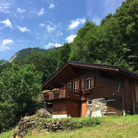 Chalet Julian Lütschenthal 외부 사진