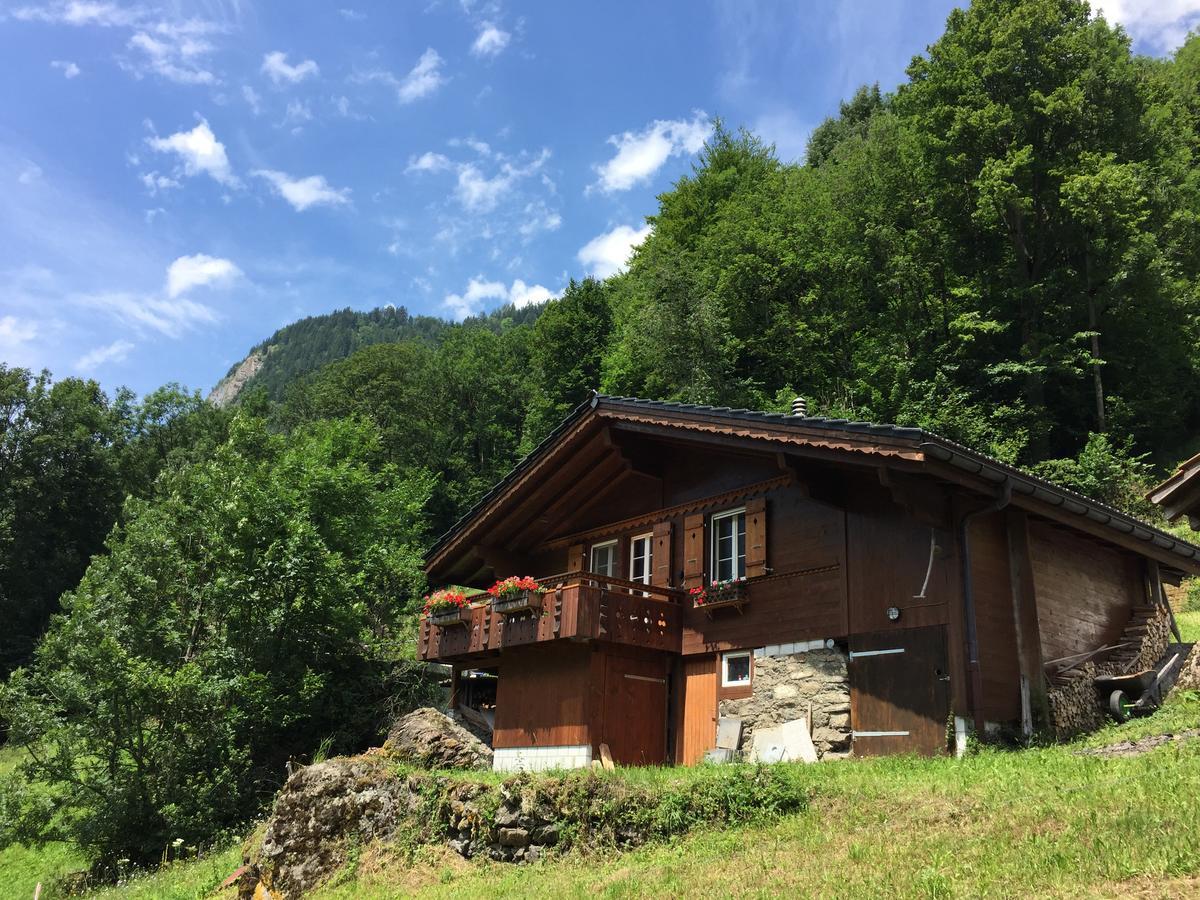 Chalet Julian Lütschenthal 외부 사진